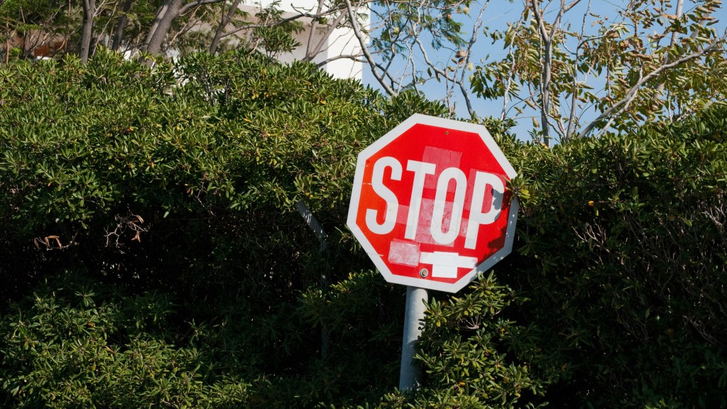 juli-kosolapova-dmtblaatftk-unsplash US FDA clamps clinical hold on Atara’s T-cell therapies following failed inspection