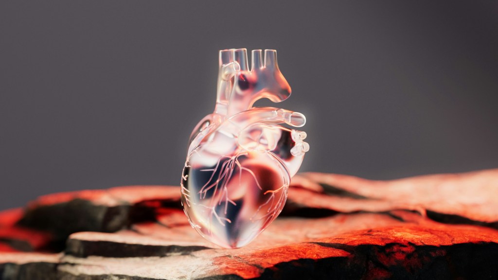 milad-fakurian-iG3PgPB7568-unsplash-1024x576 Viz.ai adds 3D imaging capabilities to improve cardiac visualization