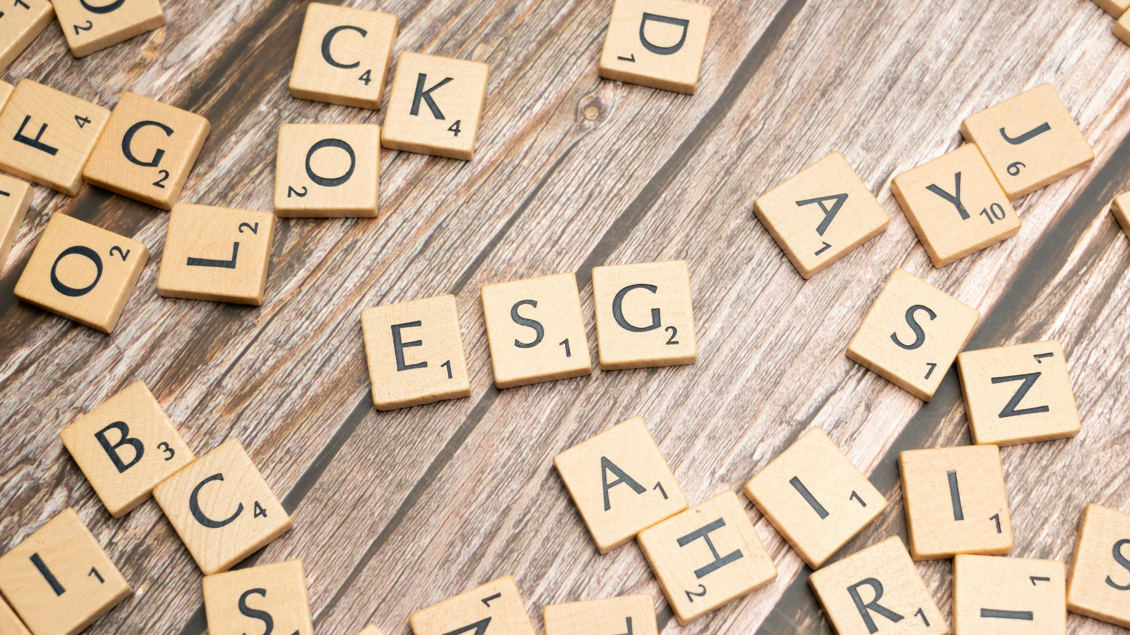 More regulations needed to increase transparency in sustainability reporting