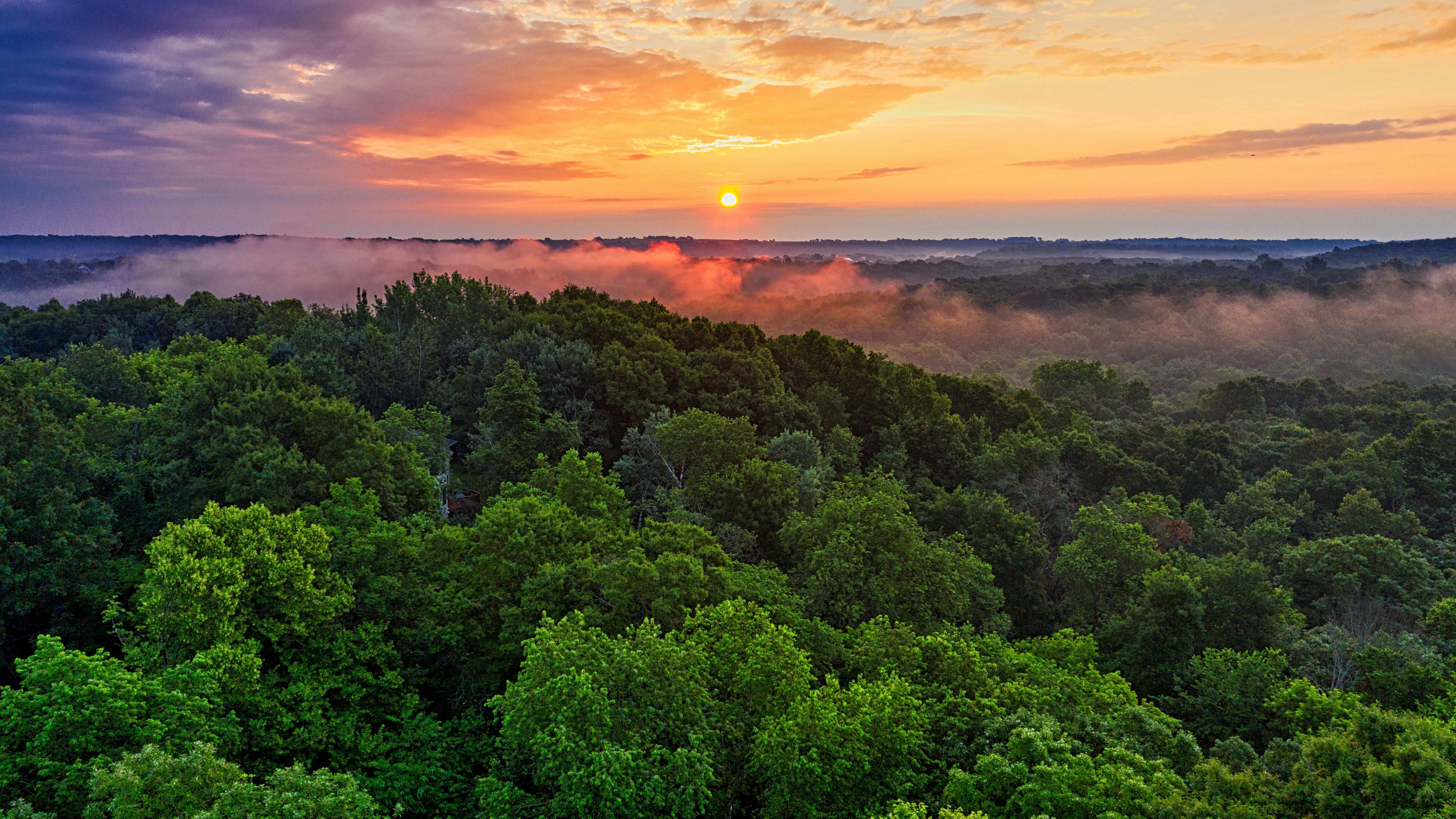 COP30 in the Amazon: A turning point for climate action?