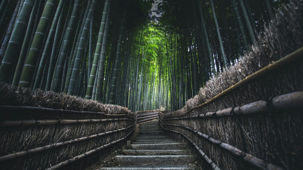 marek-piwnicki-4ypXMUtbJug-unsplash-1024x576 US exit looms as COP30 faces high‑stakes road from Bonn to Belém