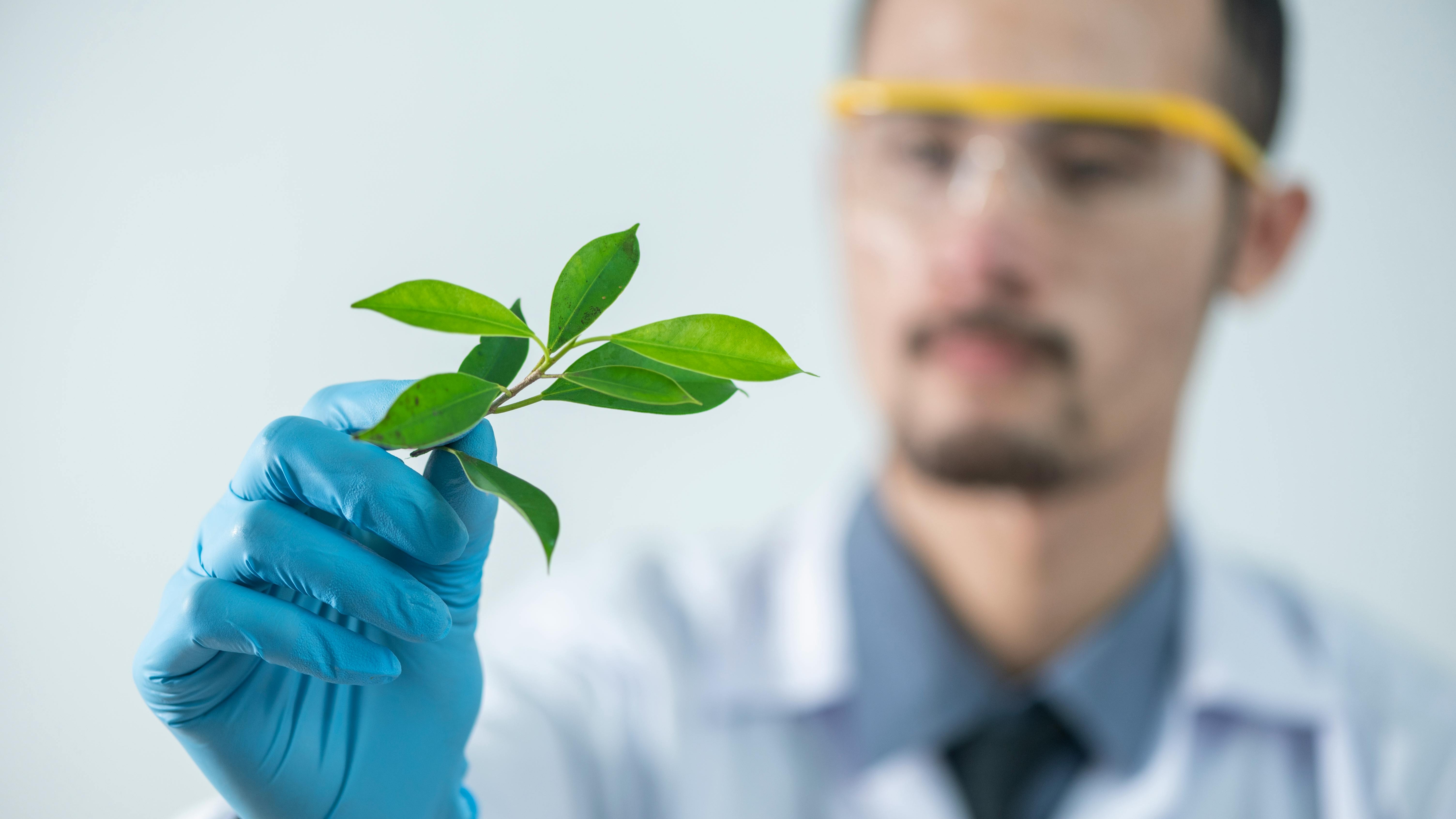 Building sustainable medical products: Polaroid exec on innovation and challenges