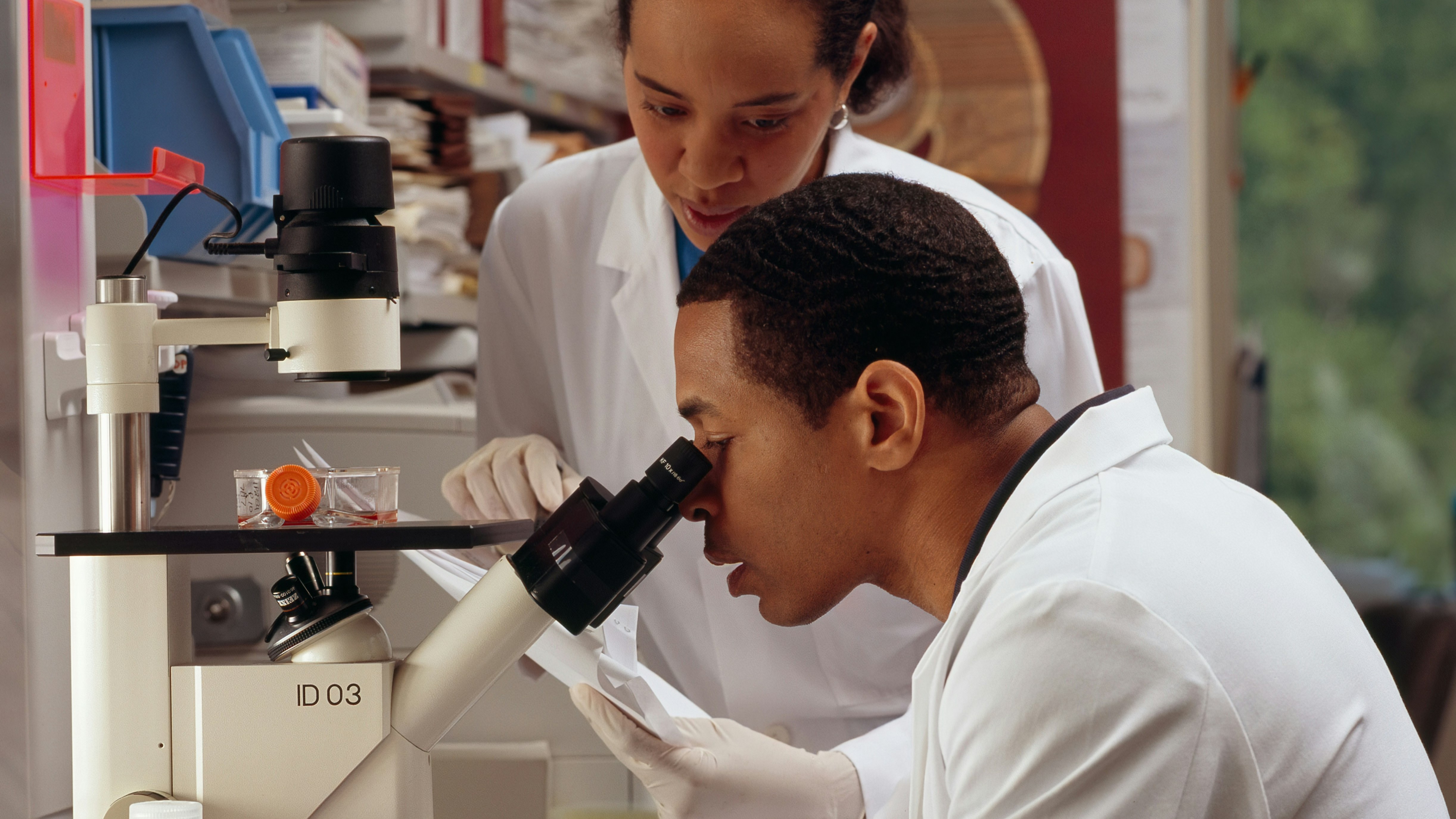 Limula and IPC partner to advance stem cell transplant processing