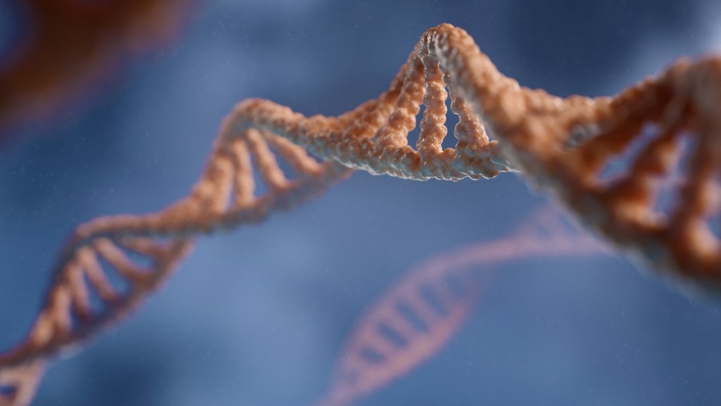 digitale-de-2GEr4fLZt8A-unsplash-1024x576 Circio bolsters data for circVec circular RNA expression platform