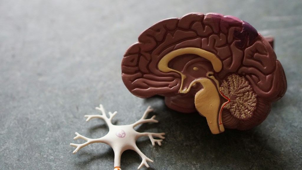 robina-weermeijer-IHfOpAzzjHM-unsplash-1024x576 FDA approves first robotic microsurgical study in Alzheimer’s