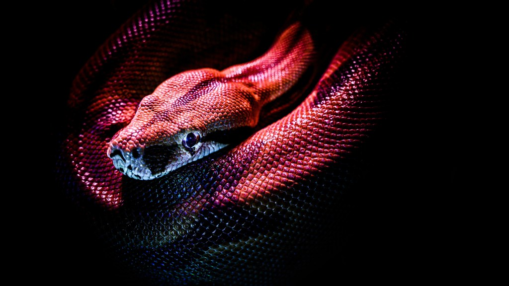 mRNA technology set to revolutionize snakebite treatment
