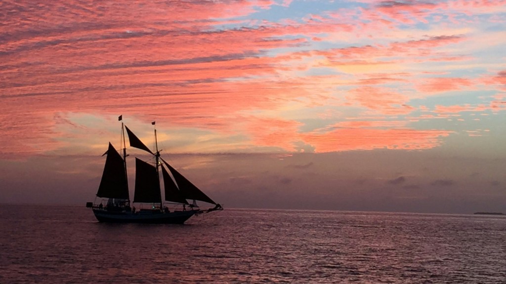 Rapid Nexus charts a new path for chronic wounds