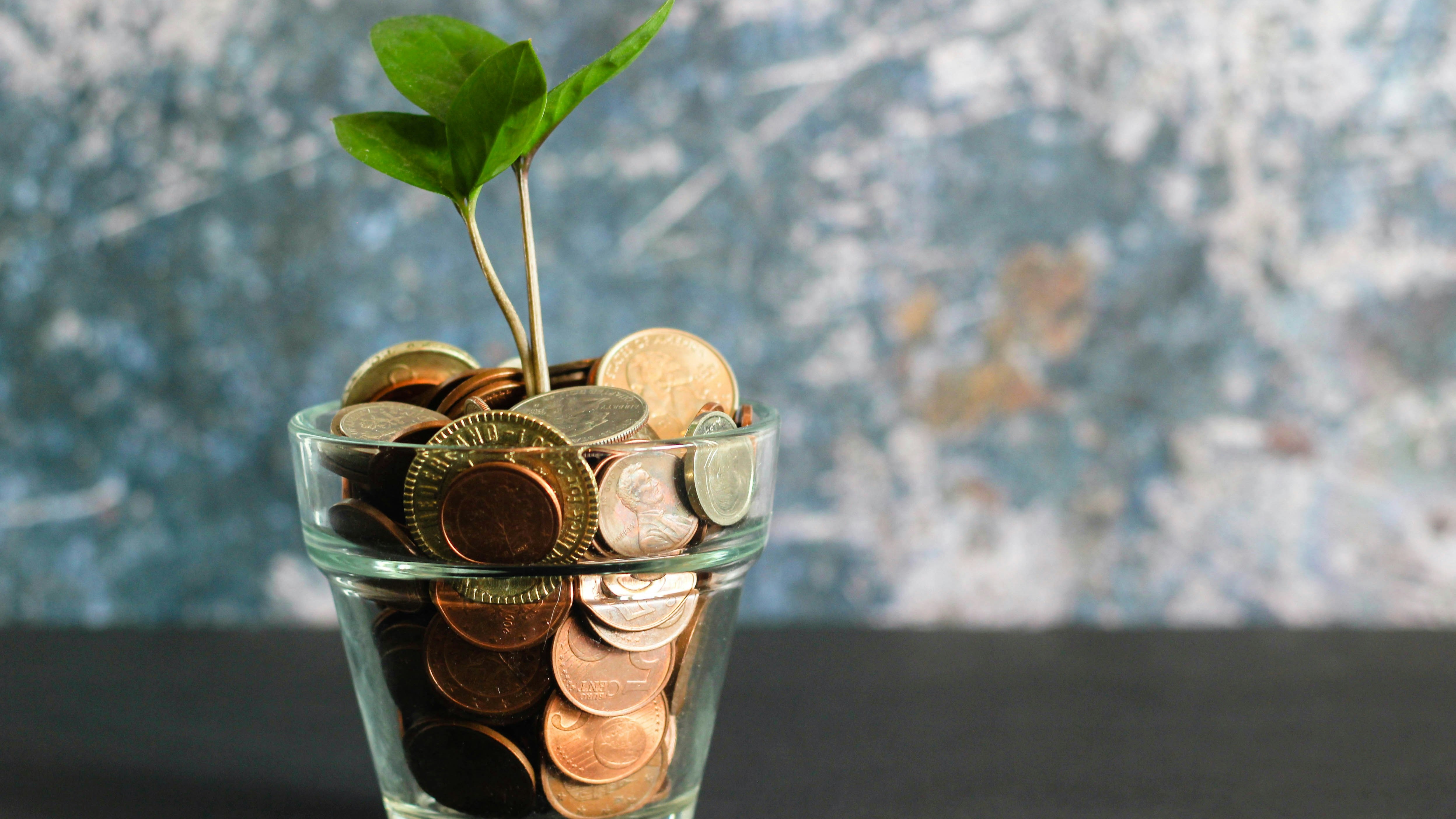 Urologic Health secures $11 million for non-invasive bladder monitoring