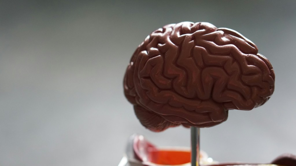 robina-weermeijer-so1L3jsdD3Y-unsplash-1024x576 Promis reports first human evidence of aβ oligomer reduction by pmn310